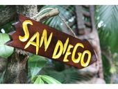 SAN DIEGO  Driftwood Tiki Sign and Nautical Rope Hanger. Tropical Pool Decor. Gifts with Aloha...