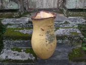 TAMARIN WOOD BOWL -EXTRA  LARGE - Architectural Home Decor - Art Gallery Grade