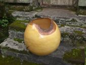 Teak Root Urn EXTRA LARGE - Architectural Home Decor - Art Gallery Grade