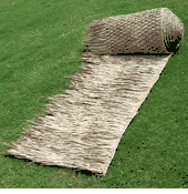 TROPICAL THATCH and PALAPAS (click here to see all...)