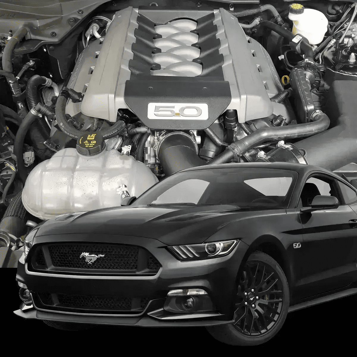 Hellion 2015-2017 Ford Mustang GT Street Sleeper Hidden Twin Turbo System