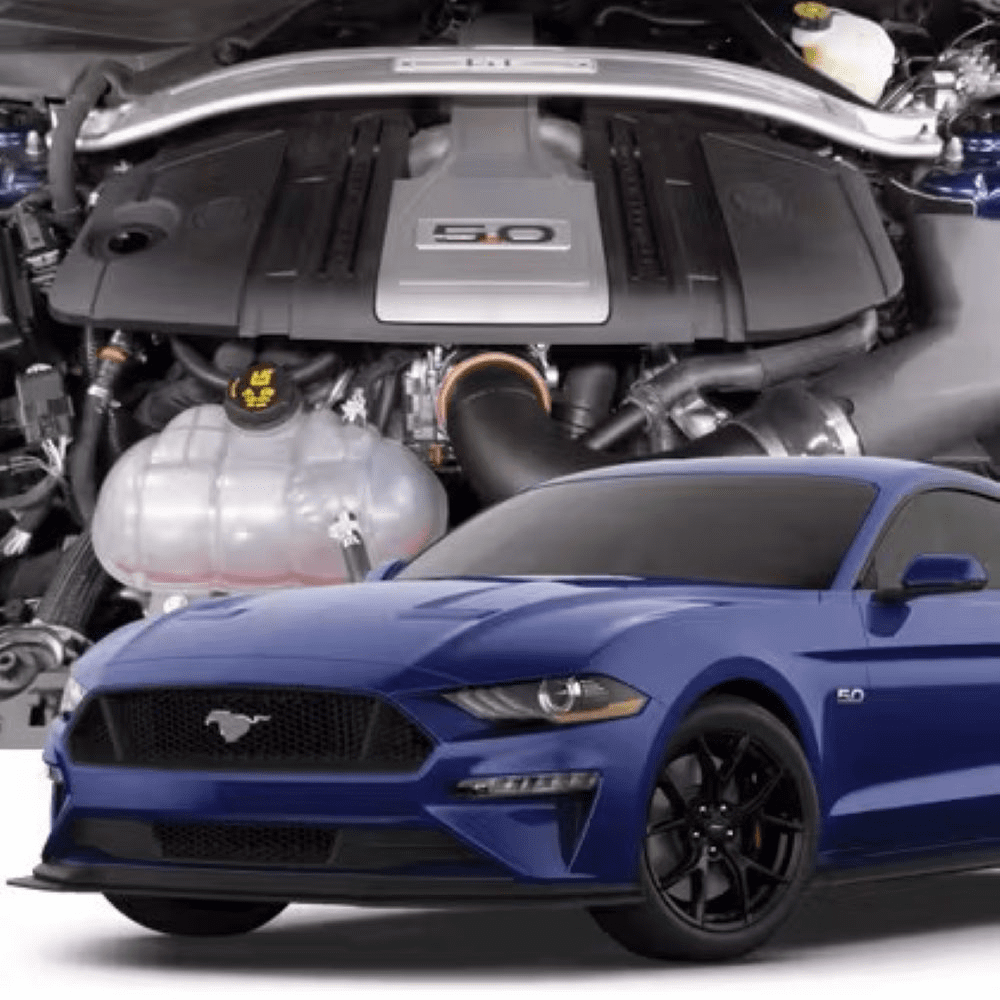 Hellion 2018-2023 Ford Mustang GT Street Sleeper Hidden Twin Turbo System
