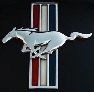 Mustang