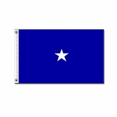 Air Force Brigadier General Flag