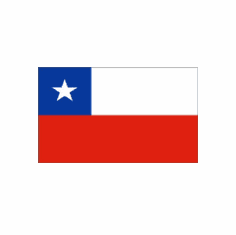 Chile Nylon Flag (Printed)