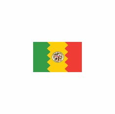 City & Municipal Flags