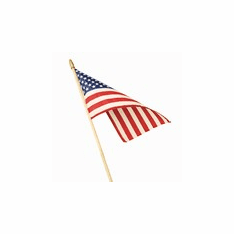 Classroom & Hemmed Flags