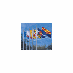 Complete 50 State Nylon 4x6Ft Indoor Flag Set 
