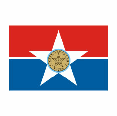 Dallas TX City Flag 3x5Ft Nylon