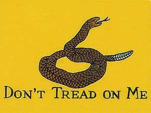 Dont Tread On Me Flags   