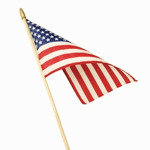 Economy 8"x12" Valley Forge Stick flag  (Dz)
