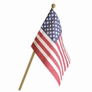 Economy Unhemmed Stick Flags
