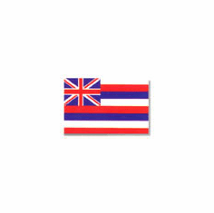 Hawaii Flag 4 x 6Ft Nylon Valley Forge Brand