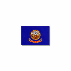 Idaho Flag 4 x 6Ft Nylon Valley Forge Brand