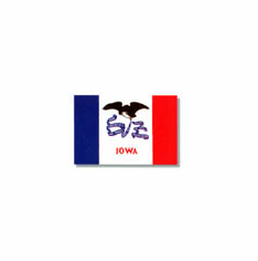 Iowa flag 3 x 5 feet nylon