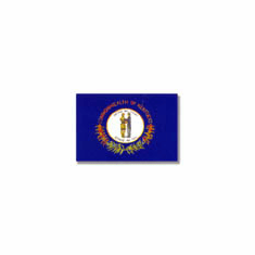 Kentucky Flag 4 x 6Ft Nylon Valley Forge Brand