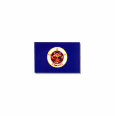Minnesota Flag 4 x 6Ft Nylon Valley Forge Brand