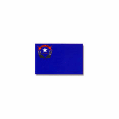 Nevada Flag 4 x 6Ft Nylon Valley Forge Brand