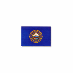 New Hampshire Flag 4 x 6Ft Nylon Valley Forge Brand