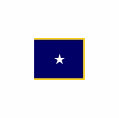 U.S. Navy Rear Admiral (Lower Half)
