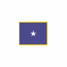 US Air Force 1 Star Flags