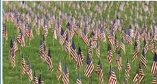 USA & Armed Forces Stick Flags