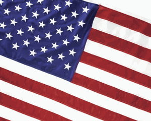 USA Embroidered American 4x6Ft Cotton Flag w/Grommets