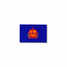 Vermont Flag 4 x 6Ft Nylon Valley Forge Brand