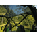 Kawasaki Teryx 4 S Rear Windshield