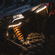 Ravek|2021+ Can-am Maverick X3|Turn Signal Kit - Amber & White