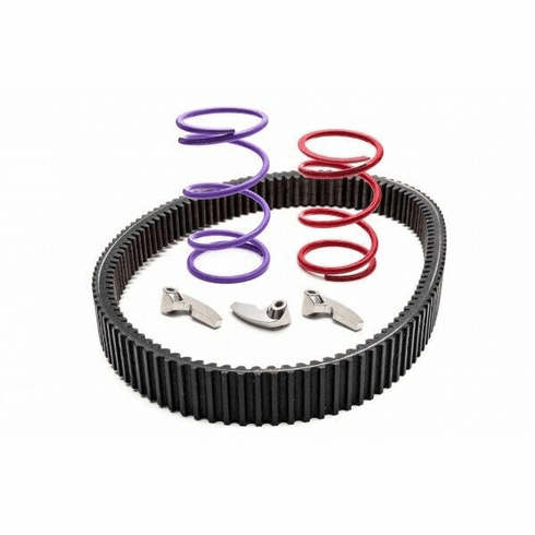 Trinity Racing Polaris RZR RS1 With Stock Tires Clutch Kit (3001-6000')