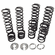 ZBROZ | 2014-2024 Polaris RZR XP 1000 4 | XP Turbo 4 | Stage 1 Dual Rate Spring Kit (Walker Evans Needle Shock)