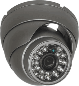 Eyemax UIB-2022-B36 EX-SDI 1080p EYEBALL IR Camera with Fixed Lens