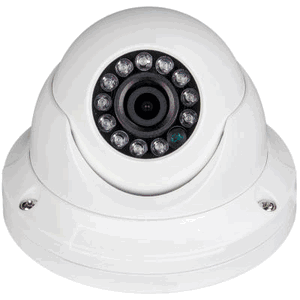 Truon NIB-B1022F Truon 720p IP Camera / Eyeball IR Dome Type / 12 IR / ICR / 3.6mm Lens