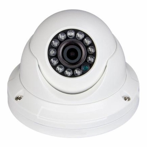 Truon NIB-B1322F Truon 960p IP Camera / Eyeball IR Dome Type / 12 IR / ICR / 3.6mm Lens