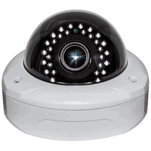 Truon NIT-B2032FV 1080p IP Camera / IR Vandal Dome Type / 30 IR / ICR / 2.8-12mm VF Lens