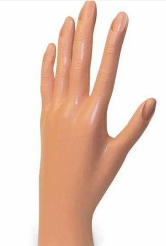 Practice Mannequin Hand_hard rubber