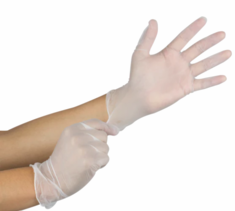 Vinyl Gloves_10 Pieces in 5"  x 10" zip lock bag, perfect for travel 