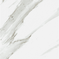 Calacatta Gold Honed Marble 12 x 12 Tile Calacatta Gold Honed Marble 12 x 12 Tile