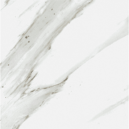 Calacatta Gold Marble 12 x 12 Polished Tile