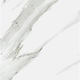 Calacatta Gold Marble 12 x 12 Polished Tile