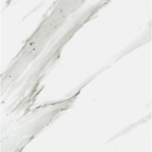 Calacatta Gold Marble 12 x 12 Polished Tile