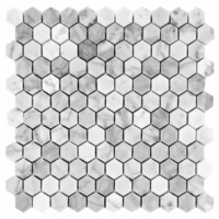 Carrara Bianco Hexagon Polished 1" Marble Mosaic Tile Carrara Bianco Hexagon Polished 1" Marble Mosaic Tile