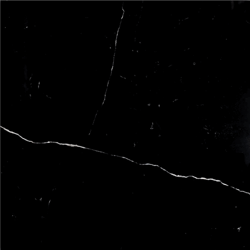 Nero Marquina (Black Marble) 12x12" Honed Marble Tile