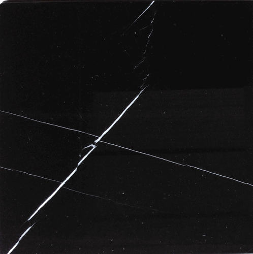 Nero Marquina (Black Marble) 12x12" Polished Marble Tile 