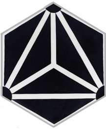 (SAMPLE 1 PIECE) Ariel Hexagon in Black and White Handmade Cement Tile