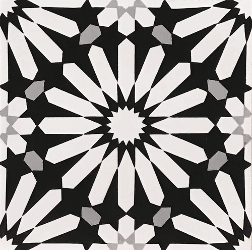 (SAMPLE 1 PIECE) Handmade Cement Tiles Tangier White on Black
