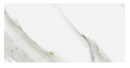 (SAMPLE 2 Pieces) Calacatta Gold Italian Marble 6x12" Subway Tile Honed
