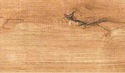 (SAMPLE APPROX. 5x6") Palmetto Porcelain Cognac Wood Look Tile