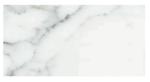 (SAMPLE) Carrara Venato Polished 12x24" Subway Tile (you will receive two 6x12" representative tiles as samples)